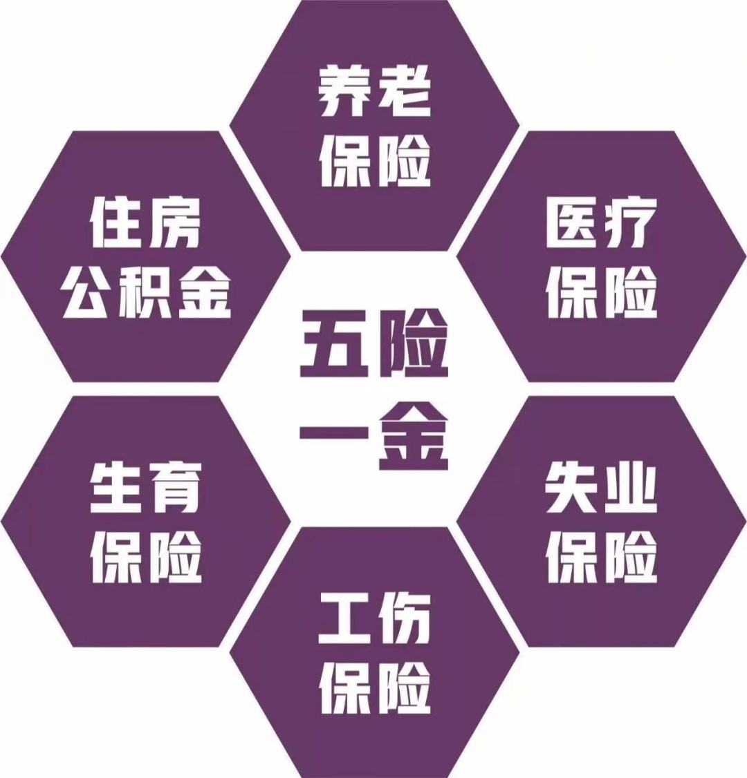 社保、医保、城居保、新农保、新农合傻傻分不清楚？一张图整明白