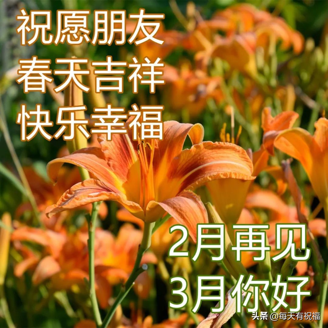 三月你好早安问候语图片,适合发朋友圈的三月早安祝福语
