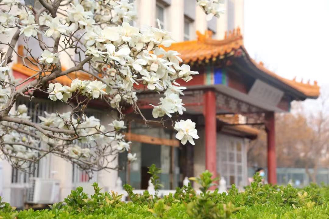 国内外广泛关注！这一全国十大研究进展揭晓，北京院士团队重磅成果入选！