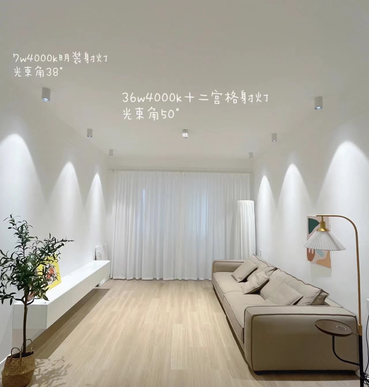 她家81：匠心装修，打造理想家居新范本