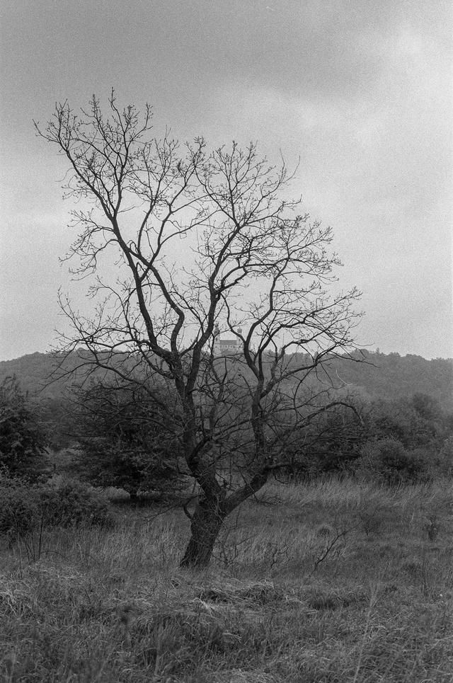 5首歌颂母爱的诗篇，首首暖心，读完忍不住想家