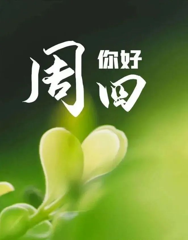 对别人有爱心，祝你每天都开心，早安