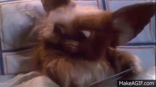 15个我们第一次没有注意到的愚蠢的电影情节漏洞