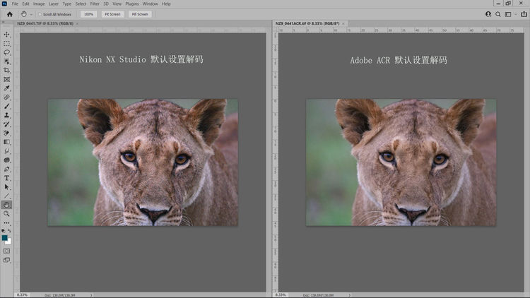 尼康Z9 非洲实战测评（一）优秀的高感画质