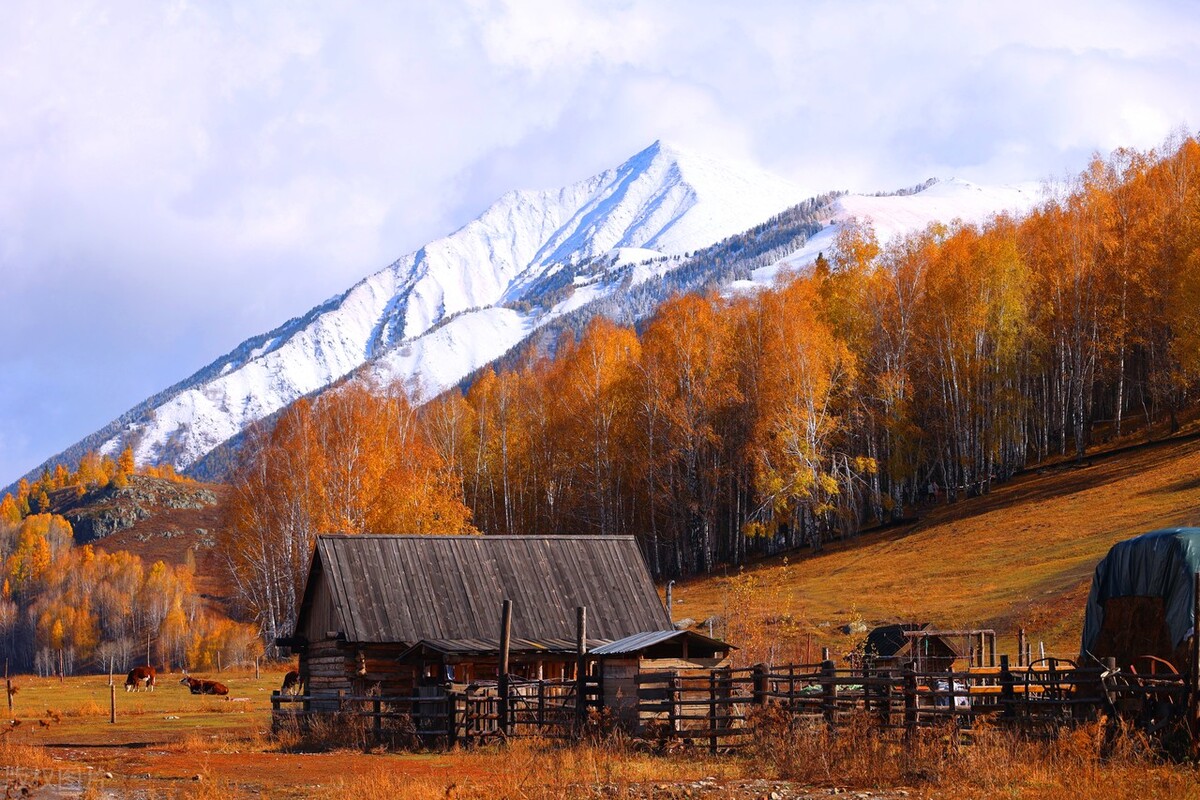 新疆喀纳斯湖面积不大,但是水量不少,真的有水怪出没吗?