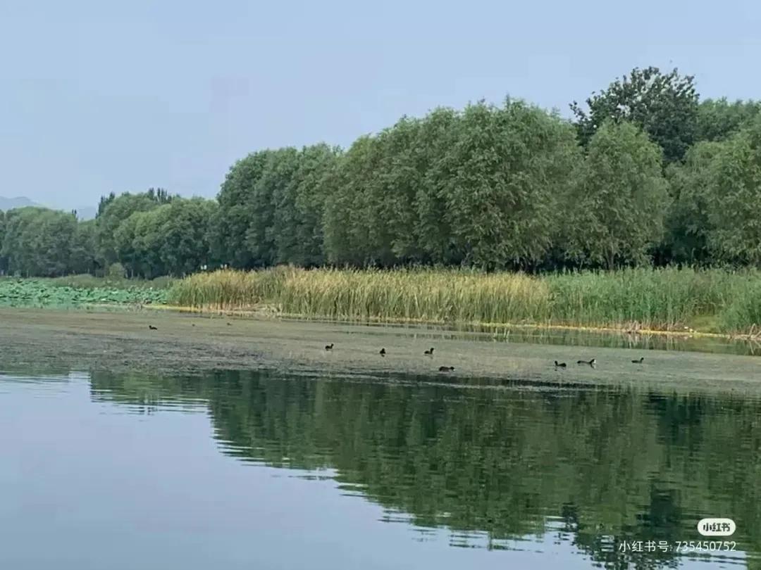 又是一年野餐季！北京这10家适合露营野餐的公园，有时间一定要打卡