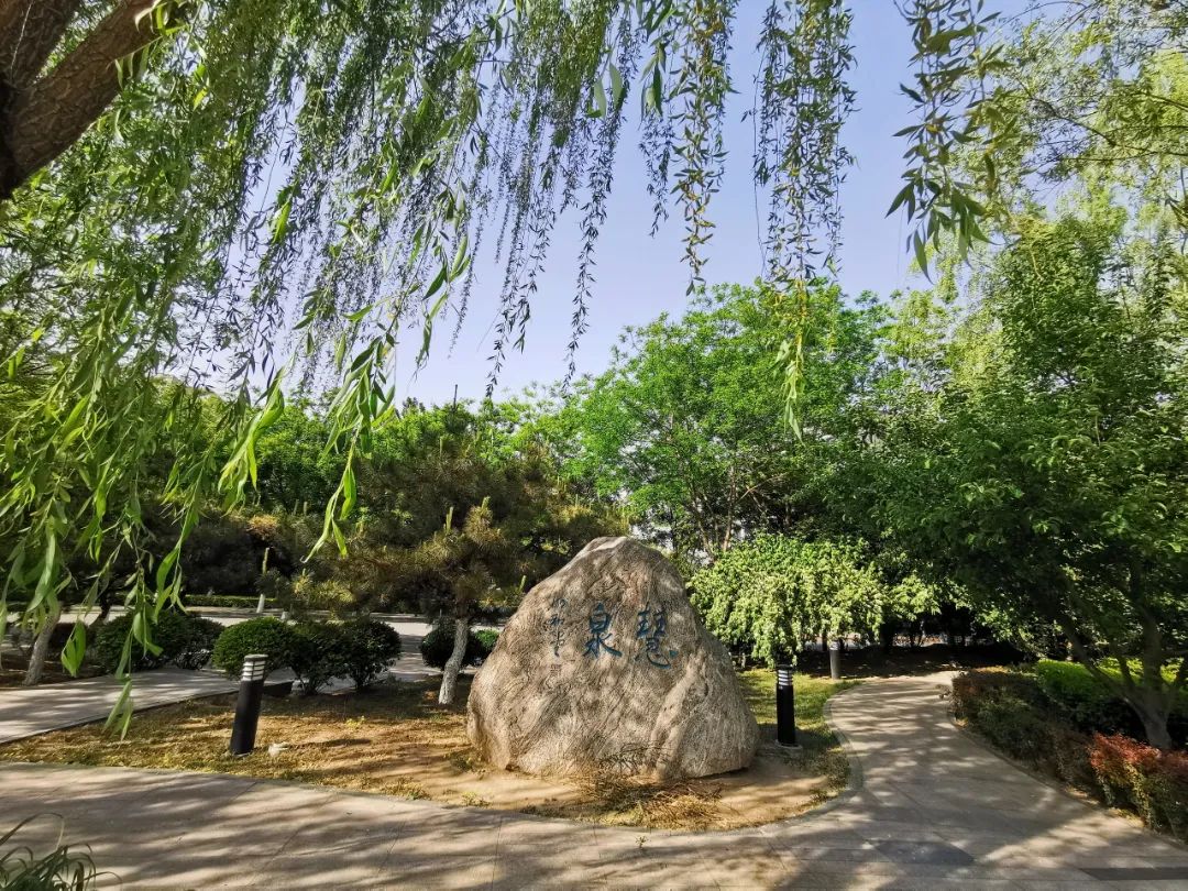 为什么可以报考河北师范大学？