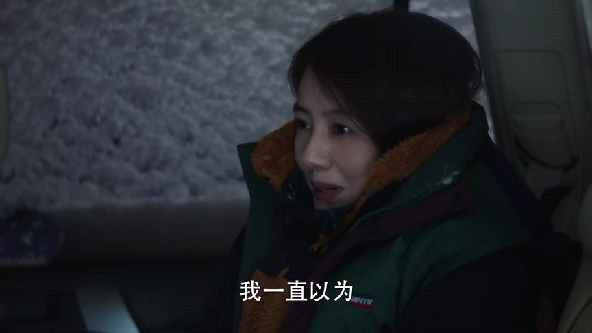 《完美伴侣》一夜之间，情感关系发生微妙变化，最动情的并非吴敏