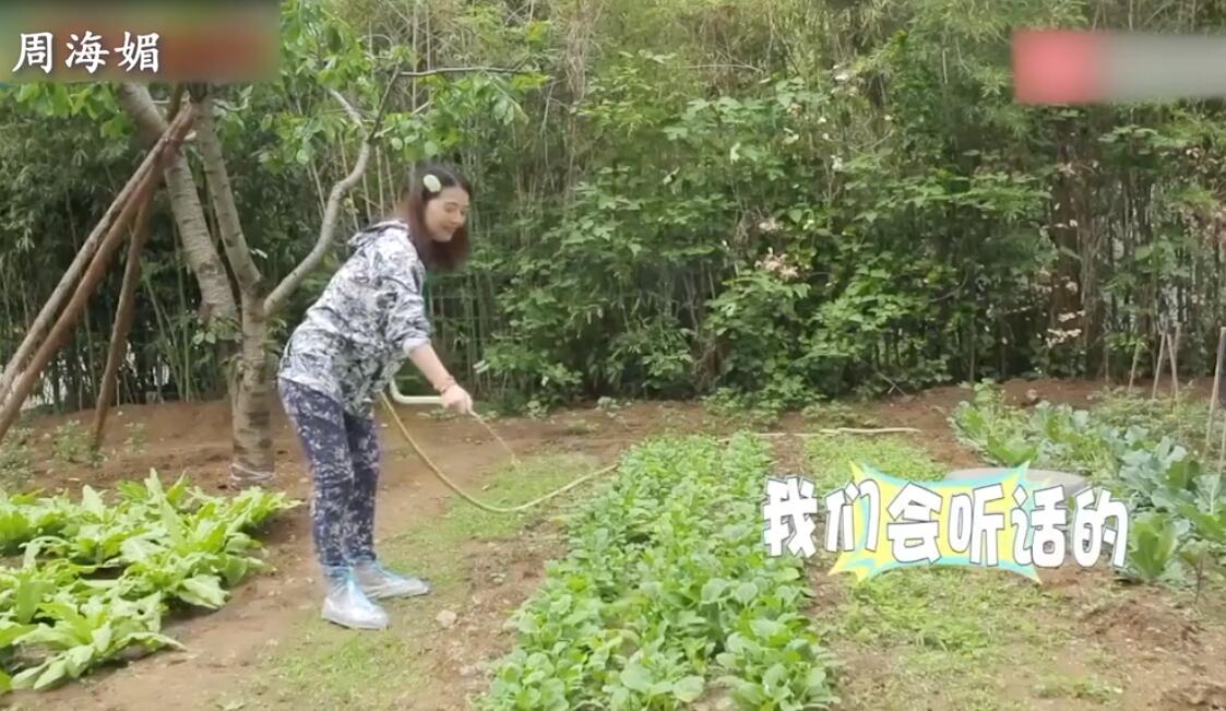 是女明星也是“菜农”！柳岩吃过刘亦菲种的茄子，张馨予家有农场