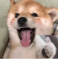 职业资格鉴定,