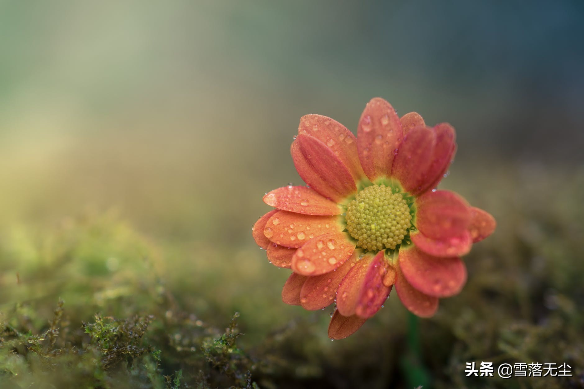男人的钱，只愿意花给一种女人