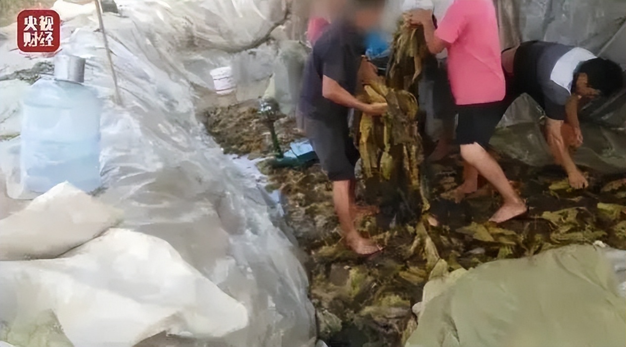 土坑酸菜事件后，品牌公信力下降，供应链的食品安全如何保障？