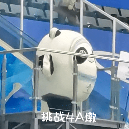 冰墩墩名场面可爱集