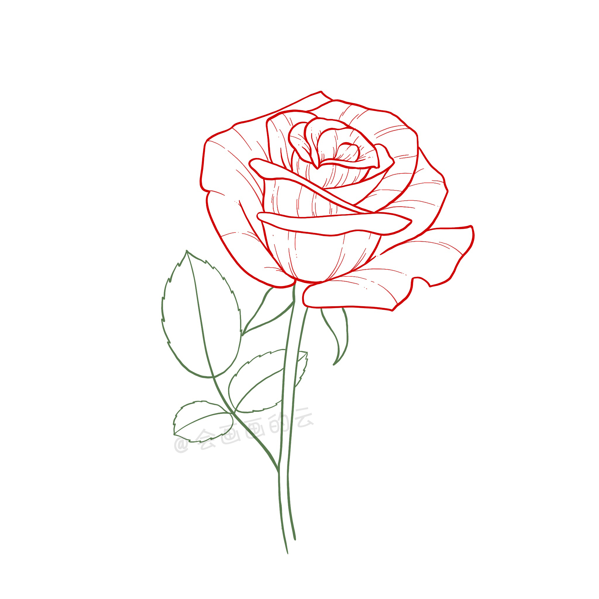 玫瑰花简笔画(8步教你画简单又好看的玫瑰花)
