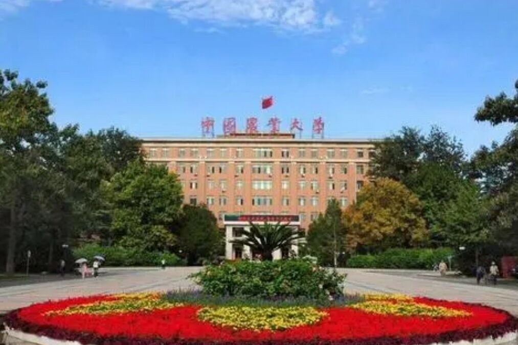 因饭菜好吃，这所985高校被称为“中国吃饭大学”，学生争相报考