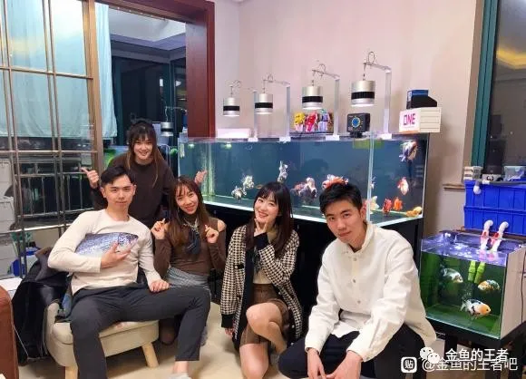 90后帅哥爱上国粹,阳台整了5缸1槽...养鱼就是在不断折腾