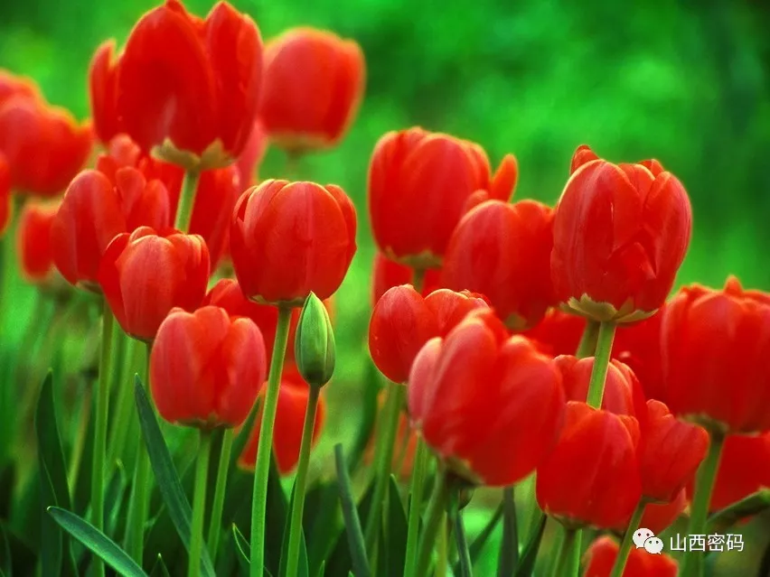 迟来的敬意：50余年前，长治医学院附属和平医院曾经救过我的命