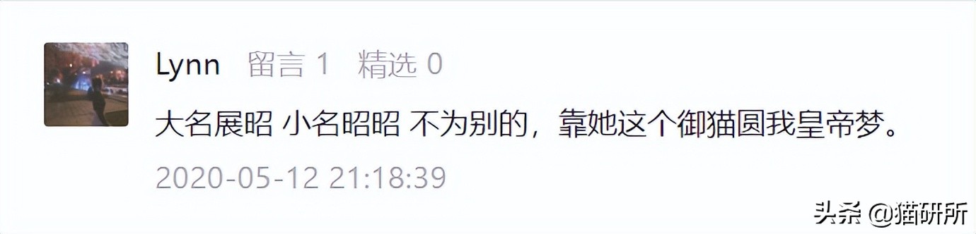 爆肝统计5000个猫名，让所有人都笑死在这些沙雕名字里