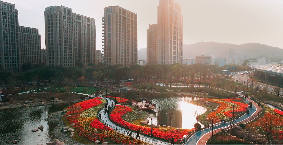 芳菲四月，花“漾”舟山，这份全岛赏花攻略 踏春路线请收好~