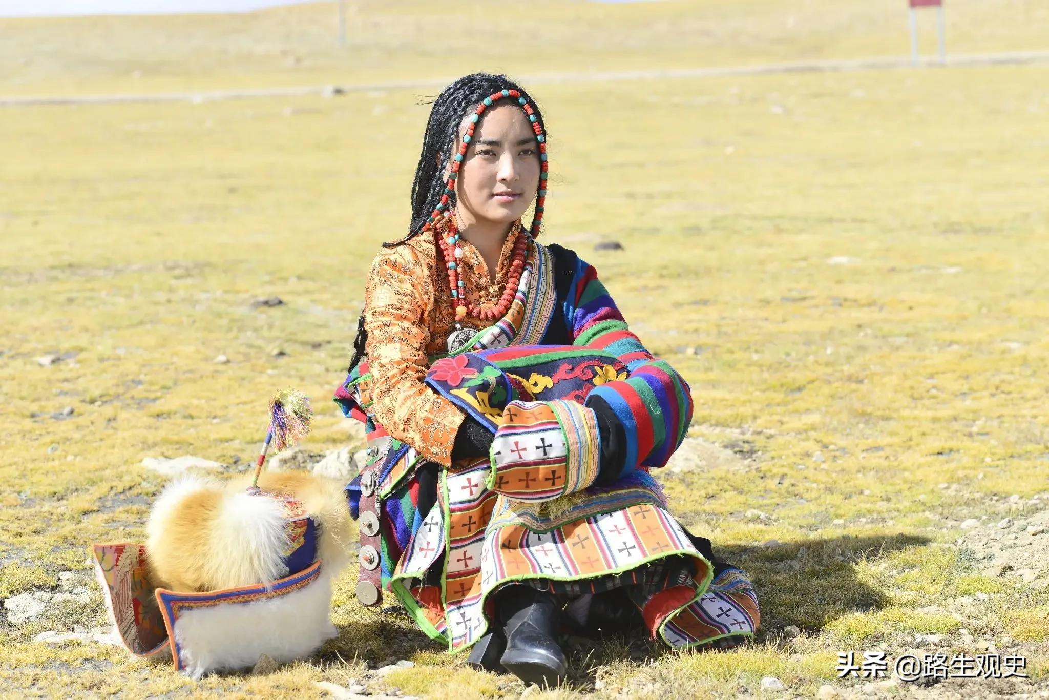 不丹和锡金也有中国藏族,他们生活的区域也叫做藏区