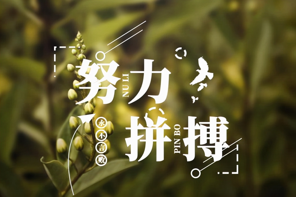 第17期 | 你好早安 正能量 开心一笑 | 新的一天,有个好心情,元气满满