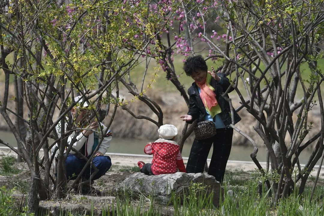 千年府城，四月春色