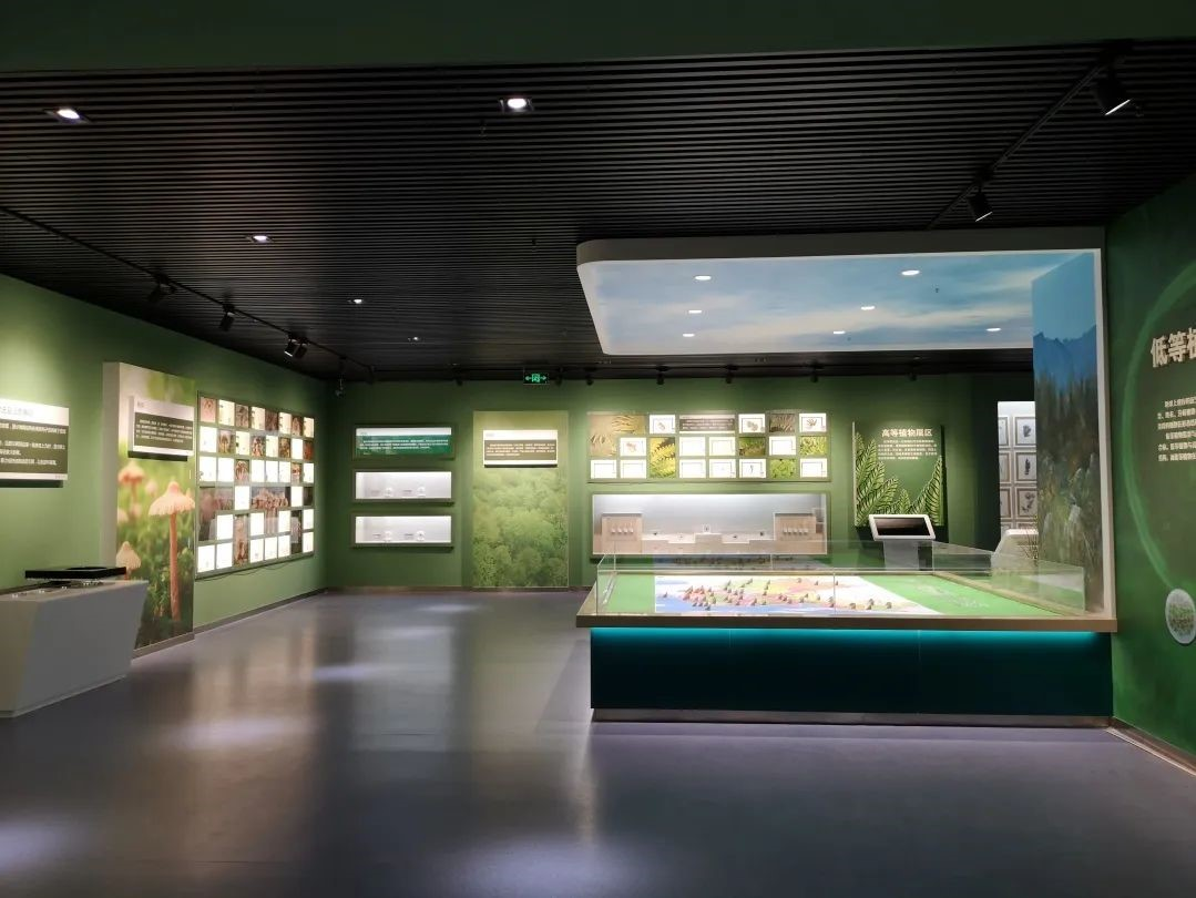 为什么可以报考河北师范大学？