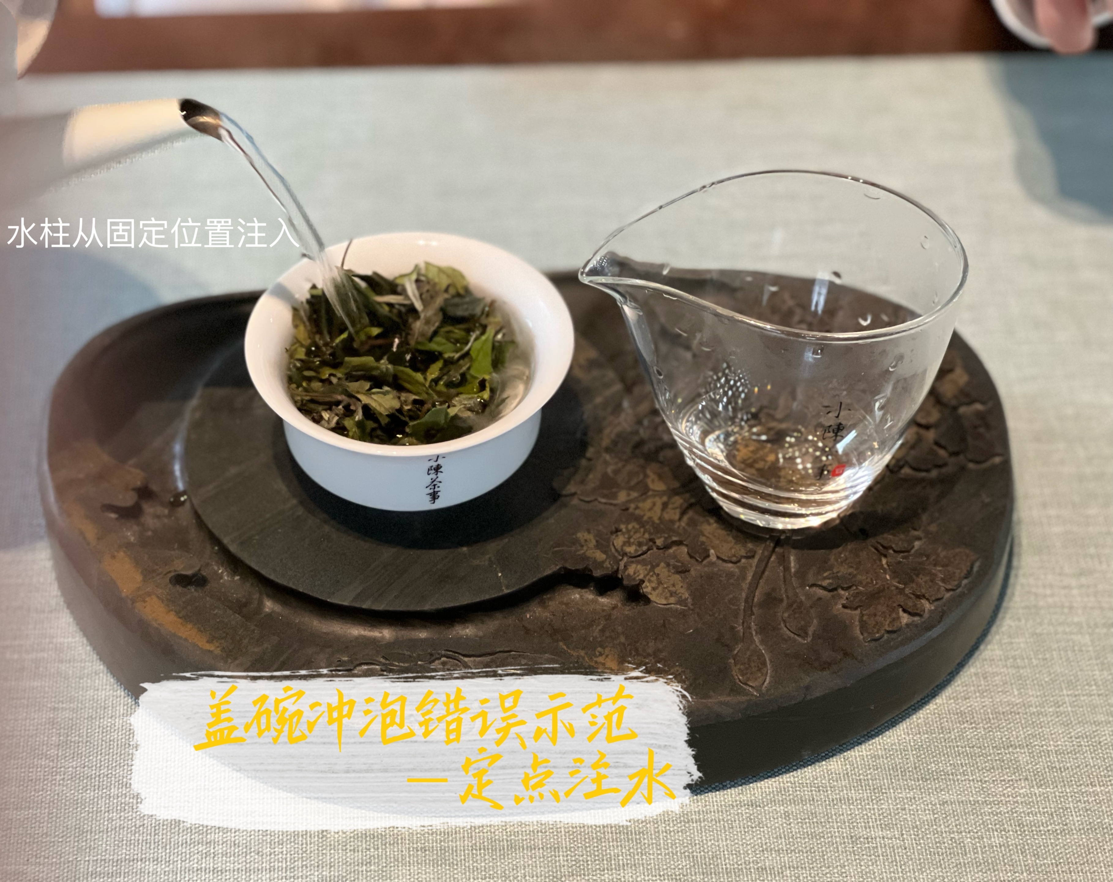 白茶冲泡方法（5个泡茶技巧可以让白茶更香）