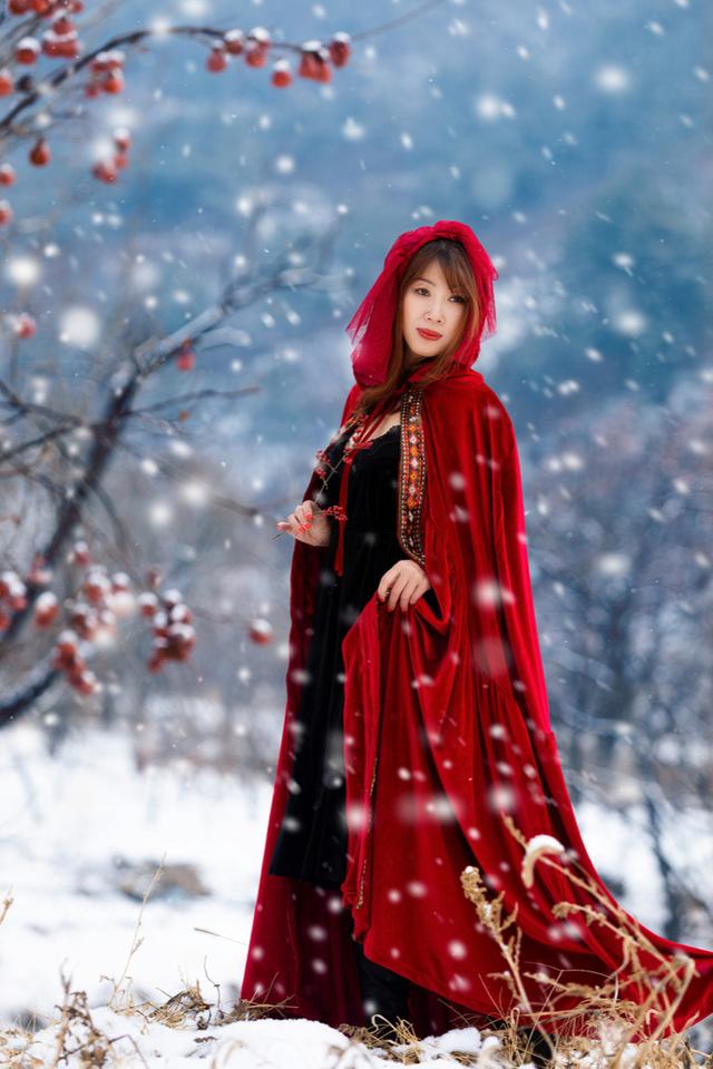 青春年少，不畏风雪撩青丝，意从容，范文《经得起风雪才能成长》