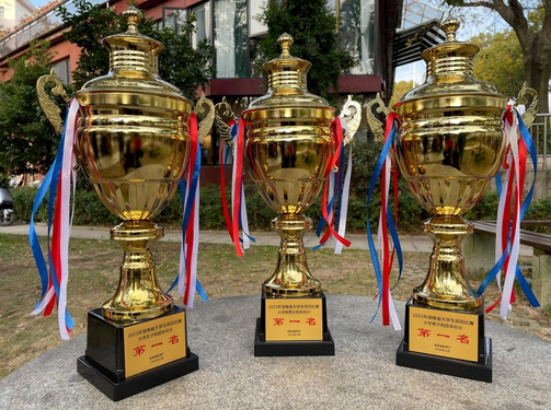 曾聘请“拳王”当教授！湖南这所985：多次包揽金银牌，还走出奥运冠军！