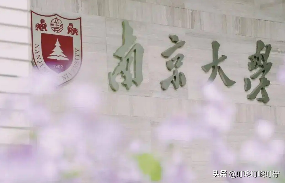 多所985大学宣布退出“世界排名”，是玩不起吗？网友：水太深