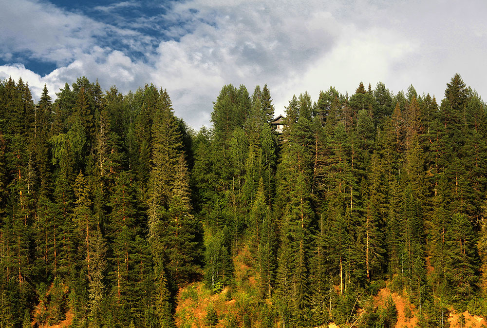 林学类专业：尽管属于农学专业，但却包含很多人感兴趣的园林专业