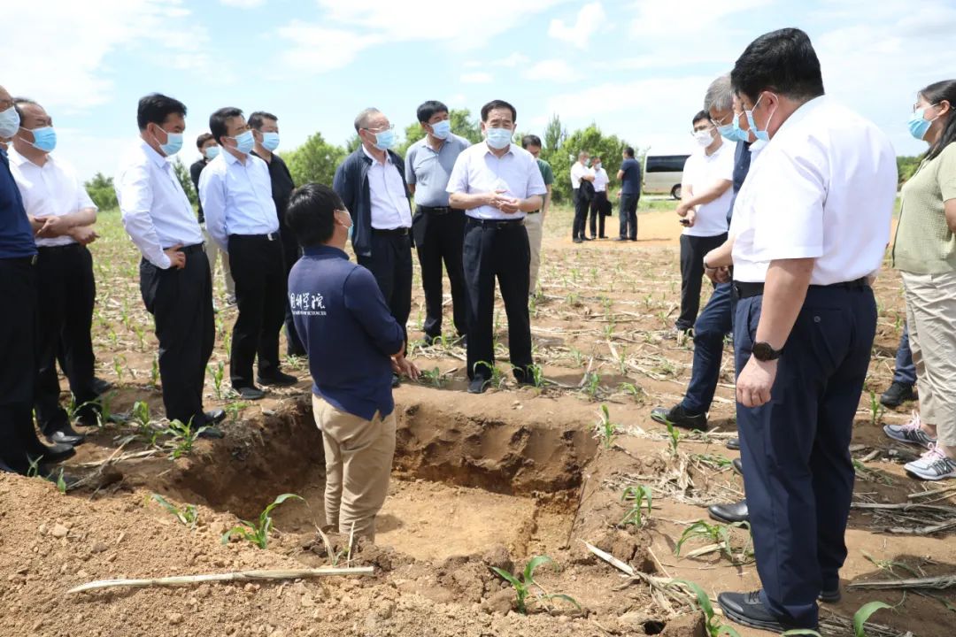 用法治力量保护好“耕地中的大熊猫”