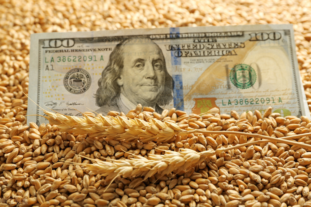 印度突然改口，小麦出口要降？美国多地播种延迟，发生了啥？
