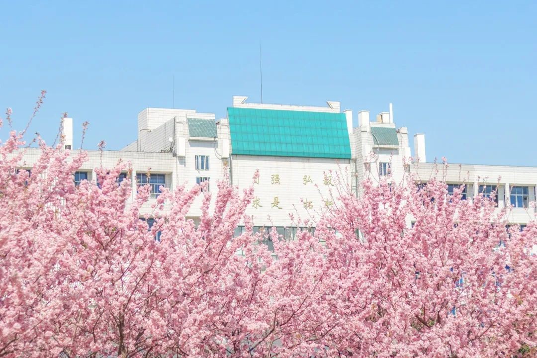 毛主席亲临视察！湖北这所高校：从“中国最美”走向“世界第一”，霸气十足！