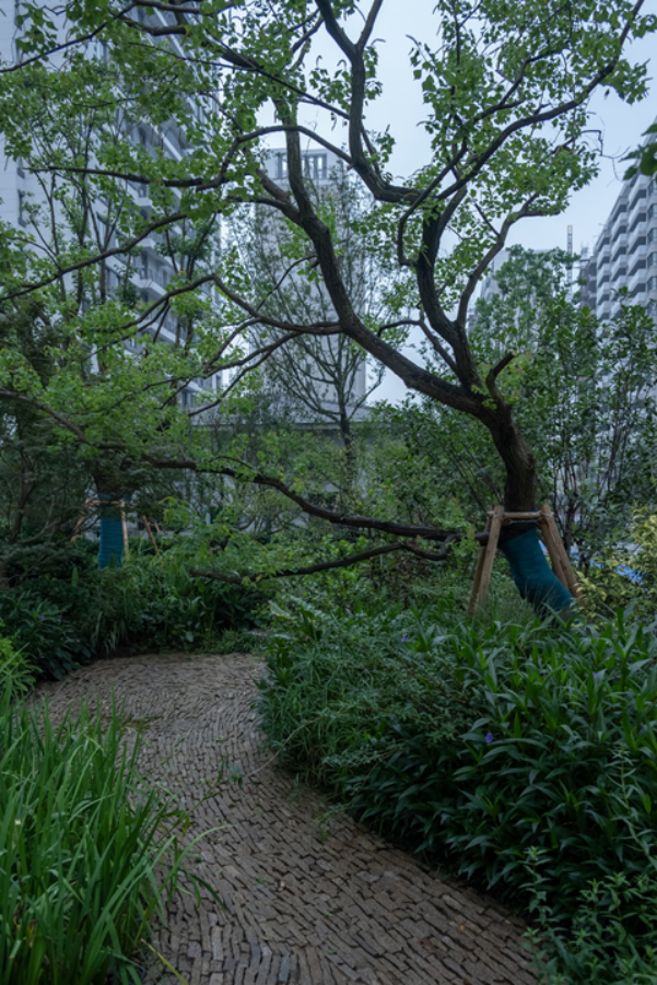世界水日｜江苏旭辉社区海绵实践分享