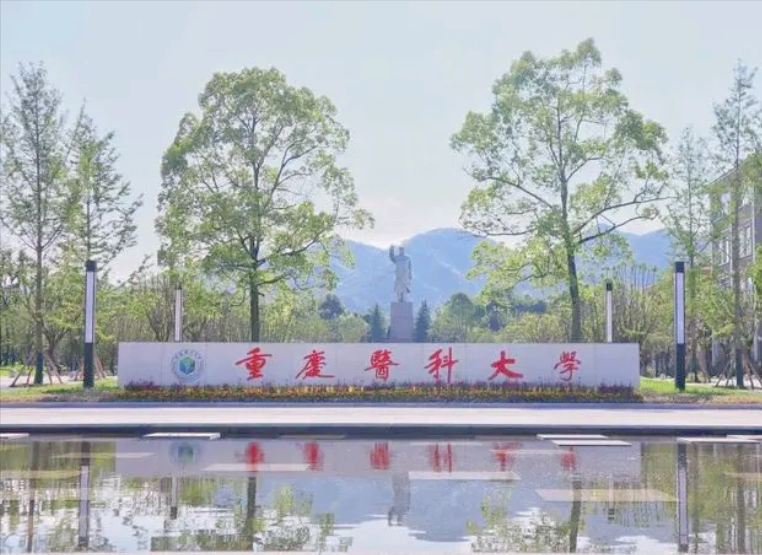 医科类高校排名出炉，北京协和稳坐头把交椅，中国医大表现很抢眼