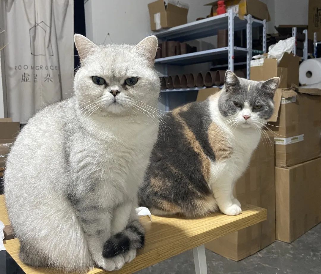 90后设计师怒了：作品被山寨，还被打标“日本原创”