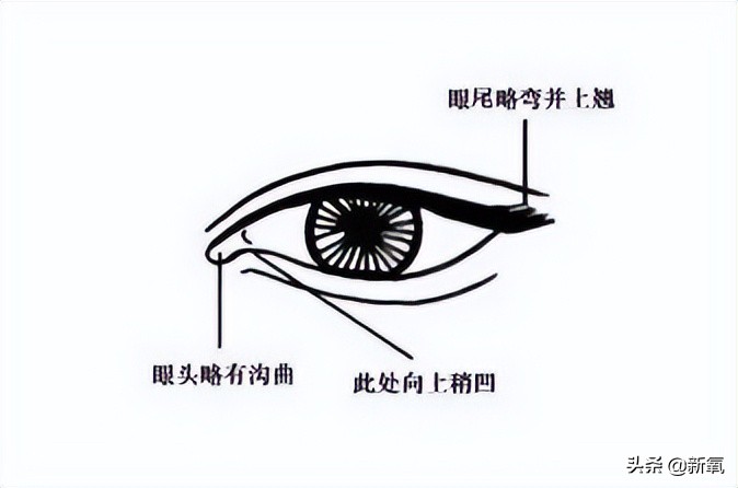 碰瓷刘亦菲还全网好评，姐这张脸真是集天地精华了吧