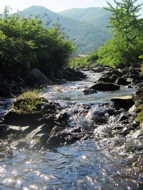 家乡的味道，就是人生的味道