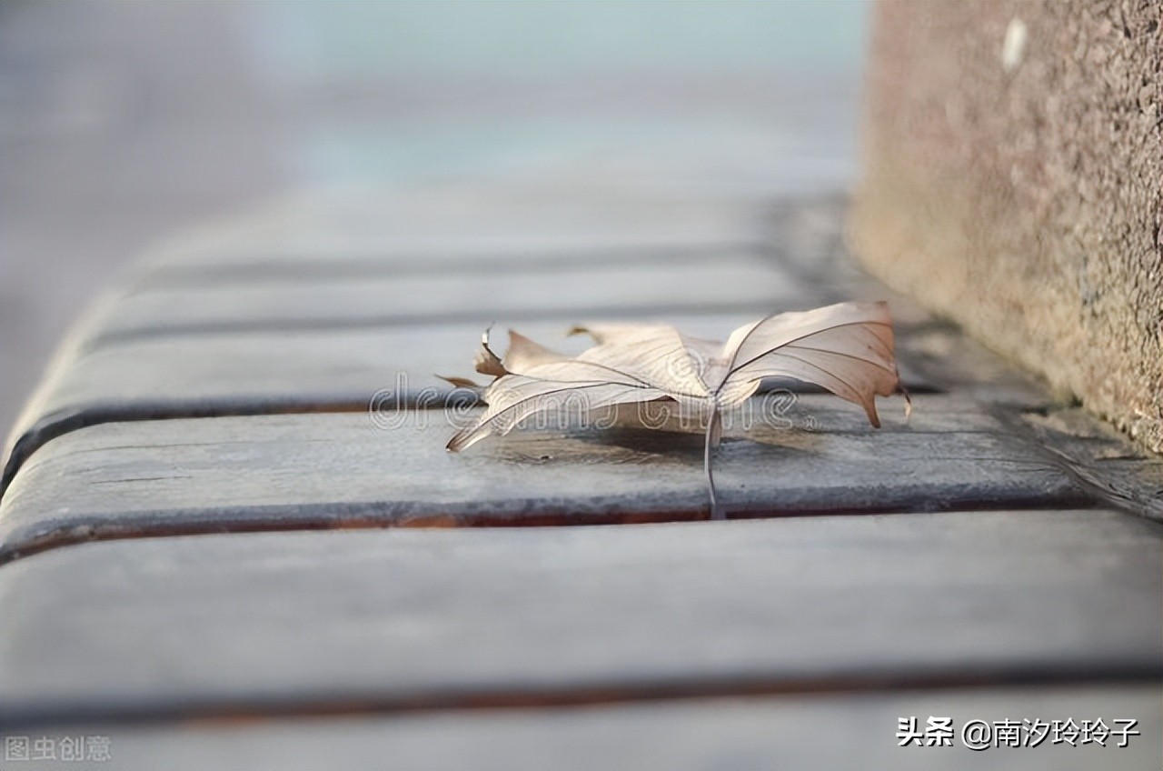 电影《人生大事》：敢于直面死亡，是我喝过最顶级的鸡汤