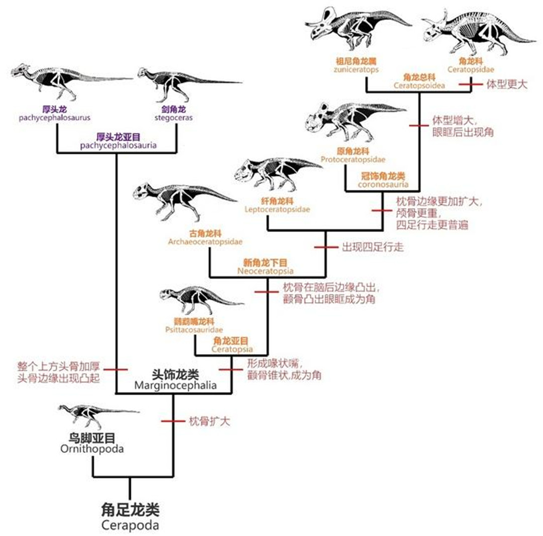 地球2.3亿年前下了场200万年的雨，帮恐龙塑造一亿六千万年霸业