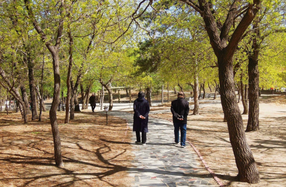 走路是最便宜的“长寿药”！避开这2个"时间点"，或越走越健康