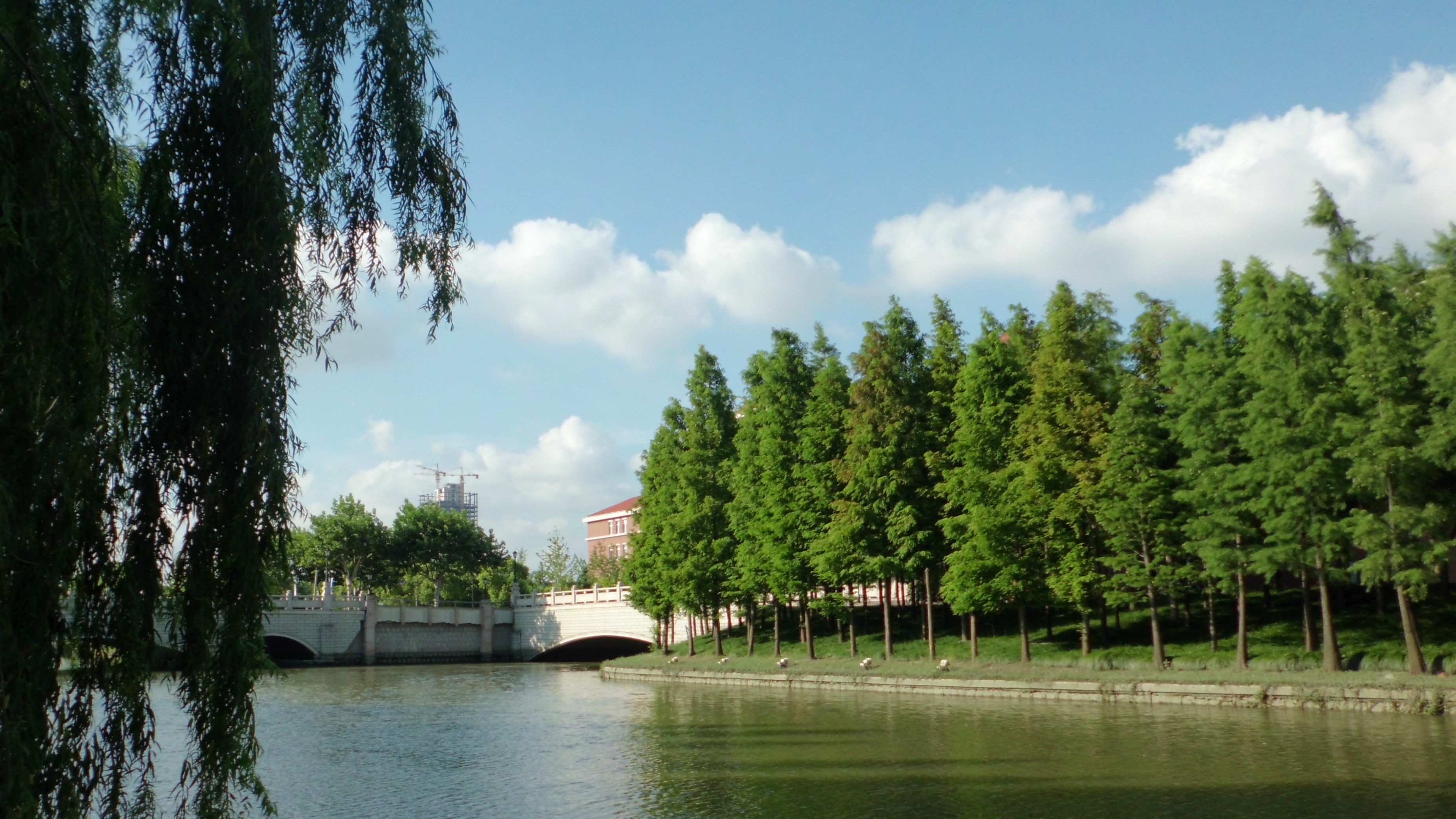 没人告诉你上海交通大学是一座非常美丽的校园吗？