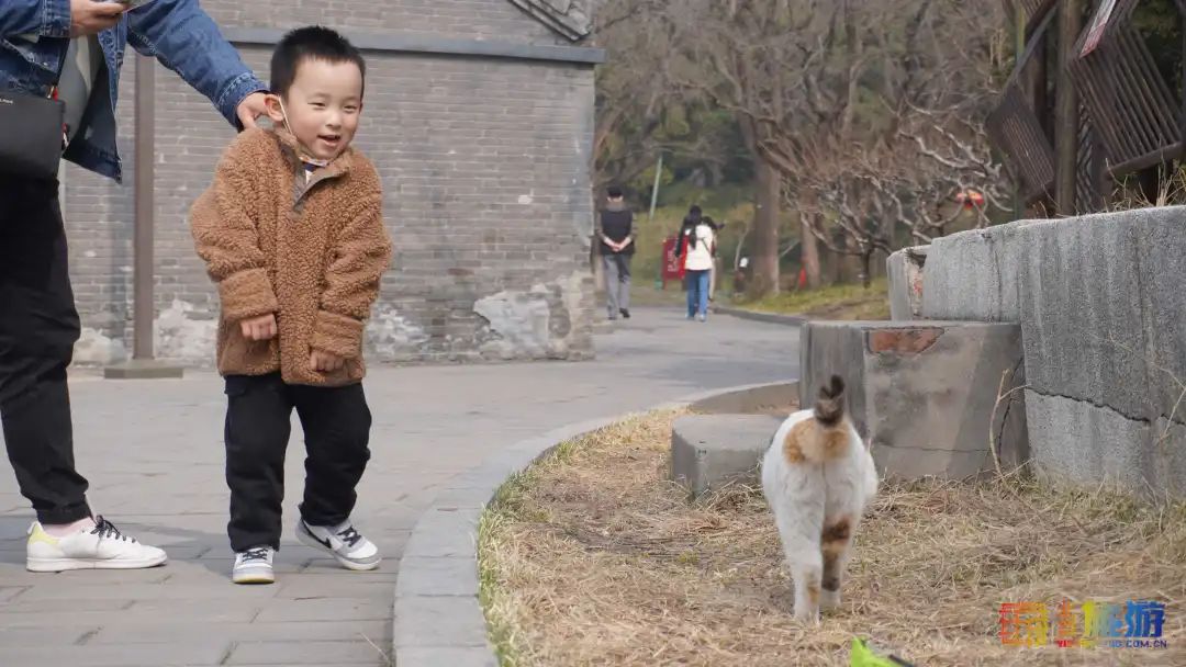 北海公园桃花映白塔，迷人春景已上线！