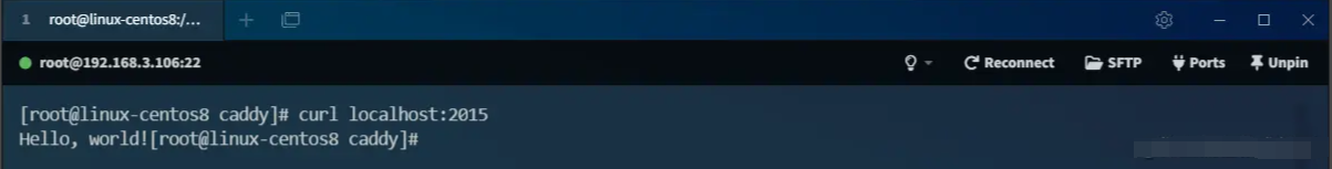 超越 Nginx！号称下一代 Web 服务器，用起来够优雅