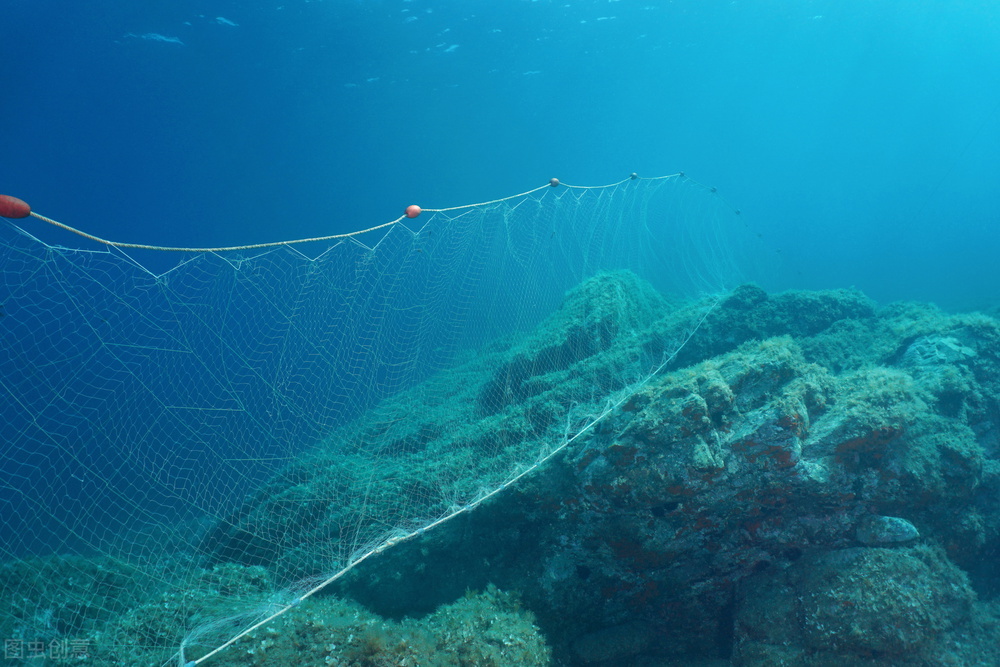 用粘网或挂网河里抓鱼告诉你10个方面怎么挑选合适的渔网？