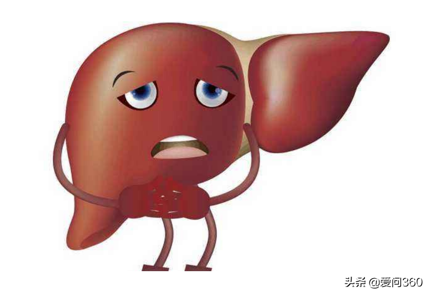 养肝的最佳时节到了，一定要注意这些事情，对身体好处很多