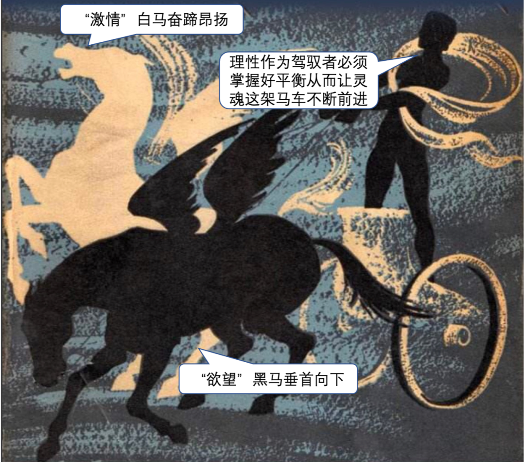 坤鹏论：柏拉图的理型论（三）-坤鹏论