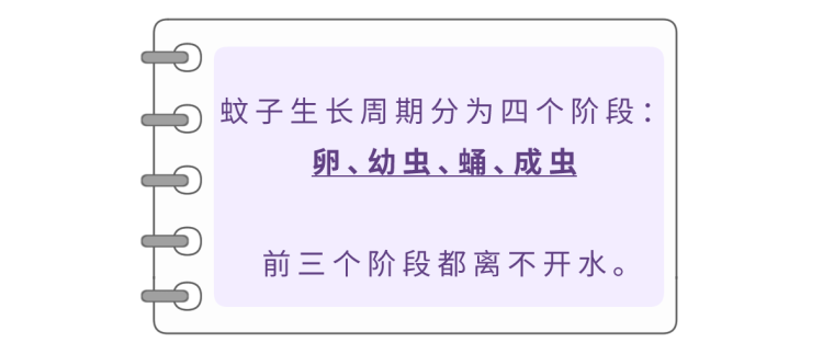 灭蚊子方法大全（10个便宜又好用的驱蚊办法）